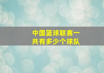 中国篮球联赛一共有多少个球队