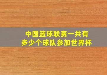 中国篮球联赛一共有多少个球队参加世界杯