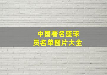 中国著名篮球员名单图片大全