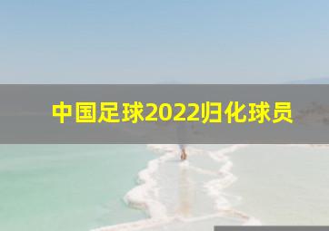 中国足球2022归化球员