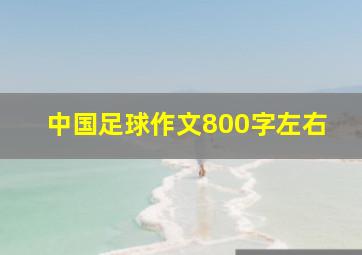 中国足球作文800字左右