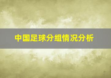 中国足球分组情况分析