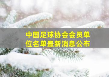 中国足球协会会员单位名单最新消息公布