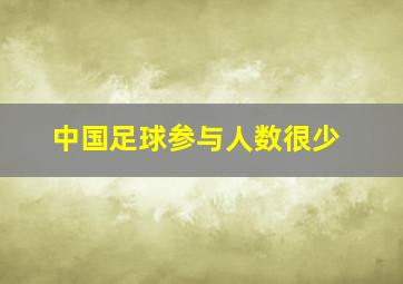 中国足球参与人数很少