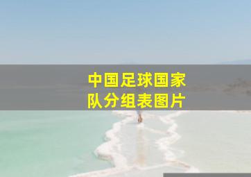 中国足球国家队分组表图片