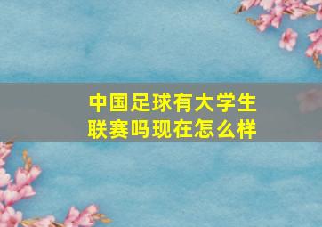 中国足球有大学生联赛吗现在怎么样