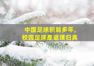 中国足球积弱多年,校园足球是返璞归真