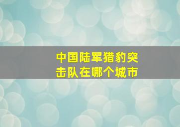 中国陆军猎豹突击队在哪个城市