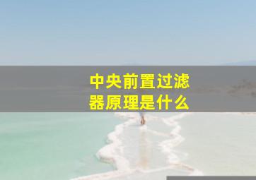 中央前置过滤器原理是什么