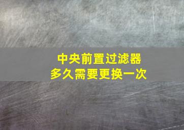 中央前置过滤器多久需要更换一次