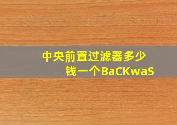 中央前置过滤器多少钱一个BaCKwaS