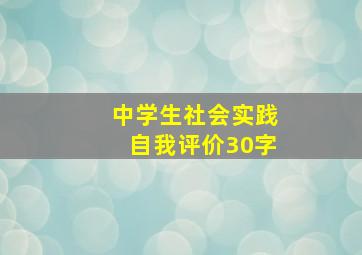 中学生社会实践自我评价30字