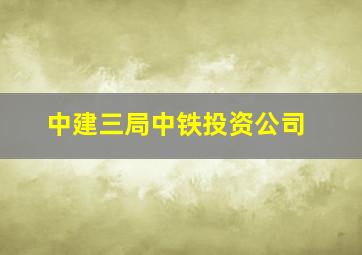 中建三局中铁投资公司