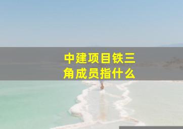 中建项目铁三角成员指什么