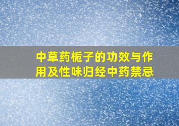 中草药栀子的功效与作用及性味归经中药禁忌