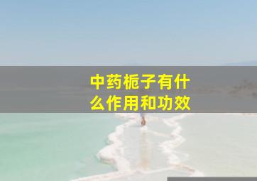 中药栀子有什么作用和功效