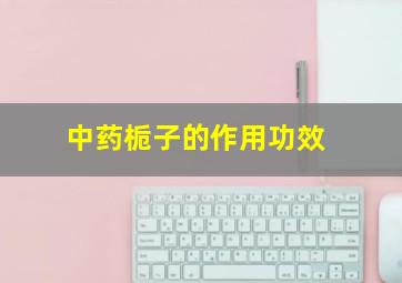 中药栀子的作用功效