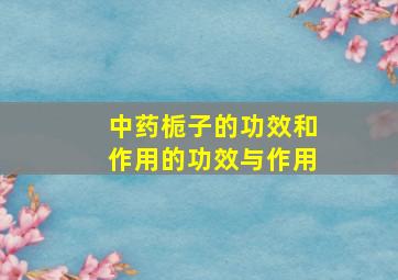 中药栀子的功效和作用的功效与作用