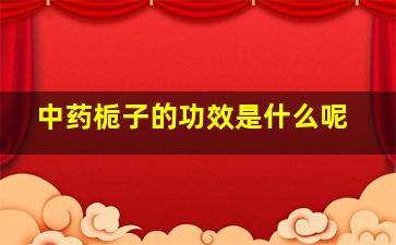 中药栀子的功效是什么呢