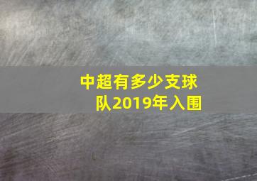 中超有多少支球队2019年入围