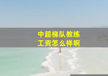 中超梯队教练工资怎么样啊