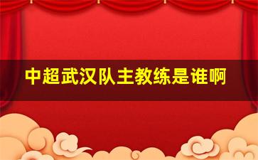 中超武汉队主教练是谁啊