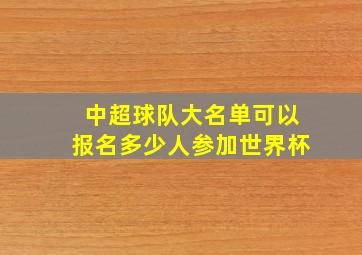 中超球队大名单可以报名多少人参加世界杯