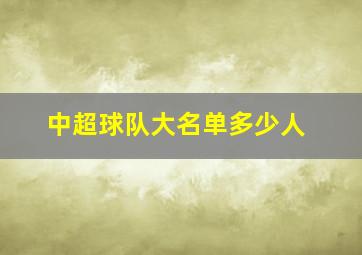 中超球队大名单多少人