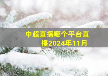 中超直播哪个平台直播2024年11月