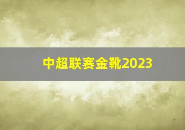 中超联赛金靴2023