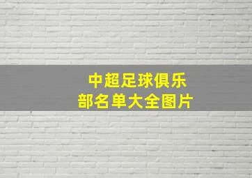 中超足球俱乐部名单大全图片