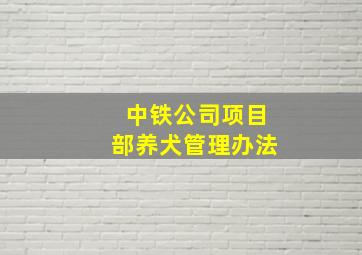 中铁公司项目部养犬管理办法