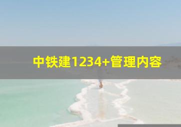 中铁建1234+管理内容