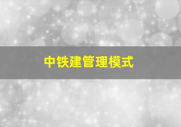 中铁建管理模式