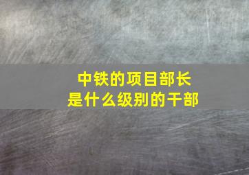 中铁的项目部长是什么级别的干部