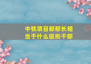 中铁项目部部长相当于什么级别干部