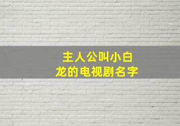 主人公叫小白龙的电视剧名字