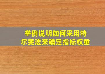 举例说明如何采用特尔斐法来确定指标权重