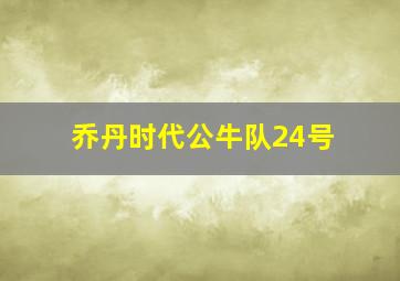 乔丹时代公牛队24号