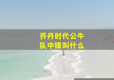 乔丹时代公牛队中锋叫什么