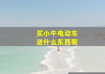 买小牛电动车送什么东西呢