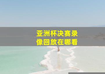 亚洲杯决赛录像回放在哪看