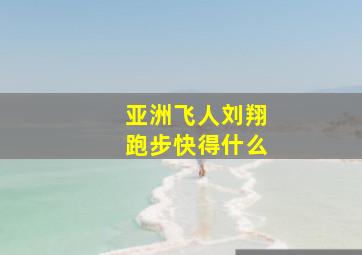 亚洲飞人刘翔跑步快得什么