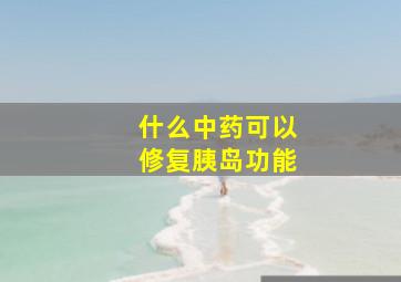 什么中药可以修复胰岛功能