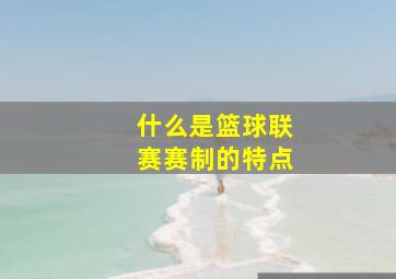 什么是篮球联赛赛制的特点