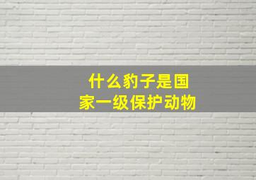 什么豹子是国家一级保护动物