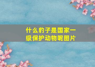 什么豹子是国家一级保护动物呢图片