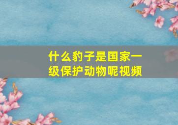 什么豹子是国家一级保护动物呢视频