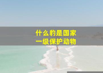 什么豹是国家一级保护动物