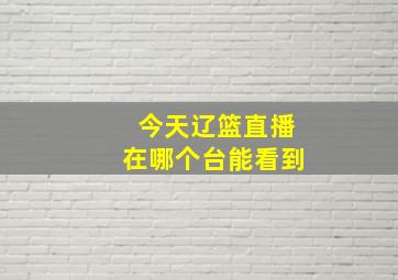 今天辽篮直播在哪个台能看到